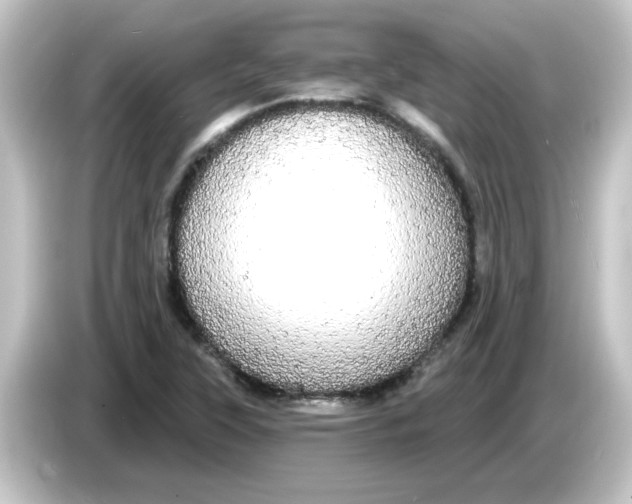 X0000084581315200703161733