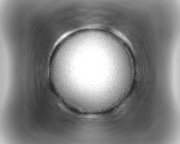 X0000084581316200703161733