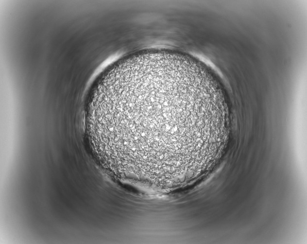 X0000084581317200703161733