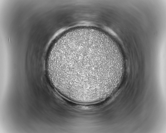 X0000084581318200703161733