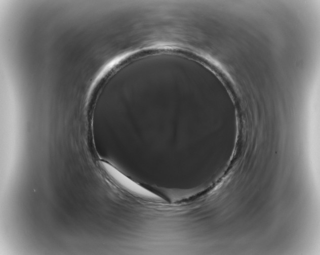 X0000084581319200703161733