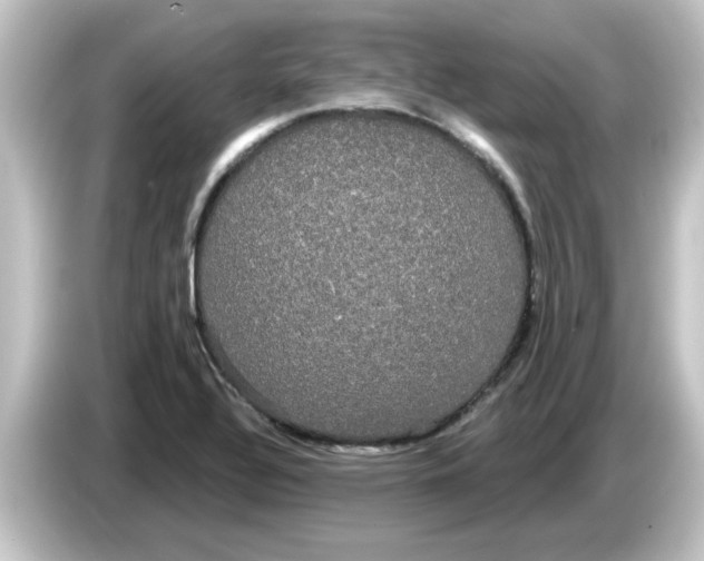 X0000084581320200703161733