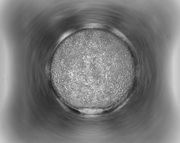 X0000084581321200703161733