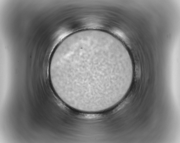 X0000084581322200703161733