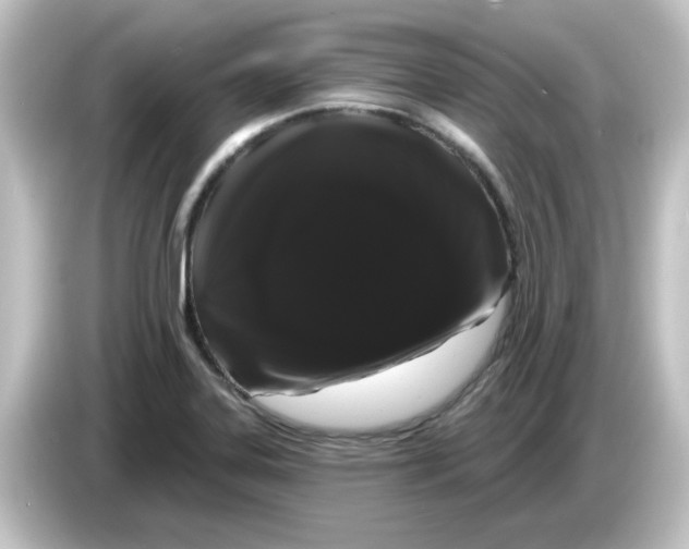 X0000084581323200703161733