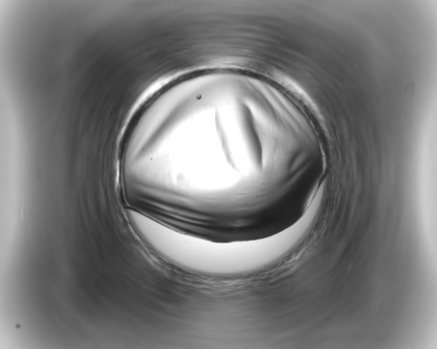 X0000084581324200703161733