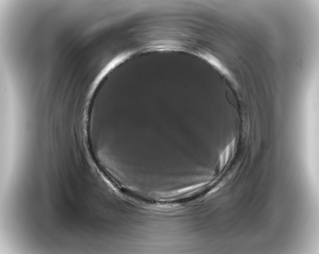 X0000084581325200703161733