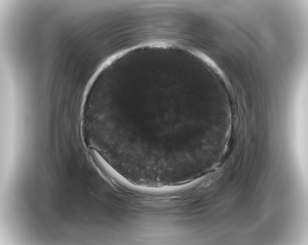 X0000084581327200703161734