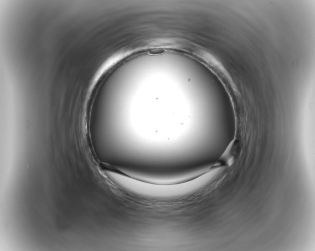 X0000084581328200703161734