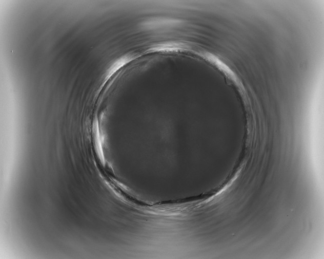 X0000084581329200703161734