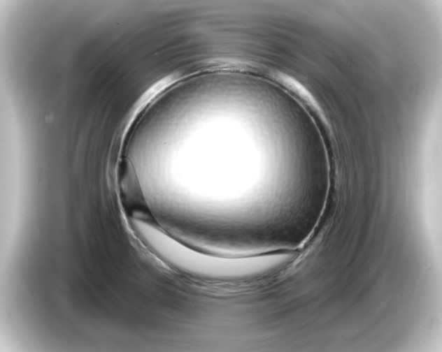 X0000084581330200703161734