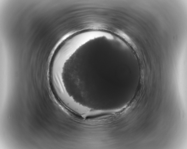 X0000084581331200703161734