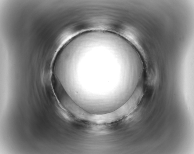 X0000084581332200703161734