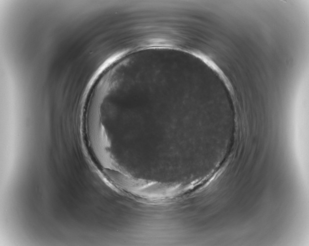 X0000084581333200703161734