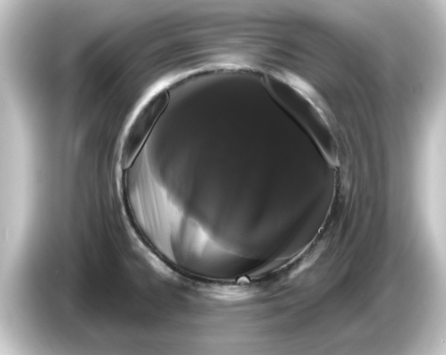 X0000084581334200703161734