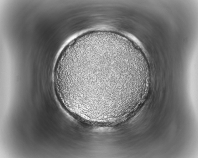 X0000084581335200703161734