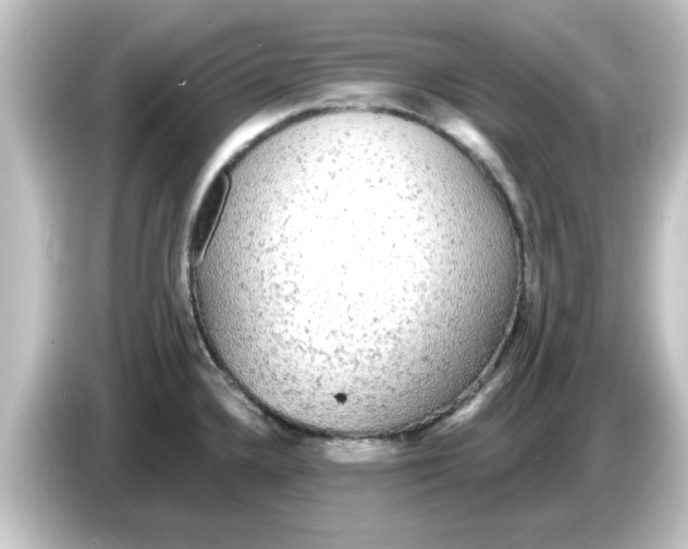 X0000084581336200703161734