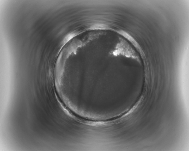 X0000084581337200703161734