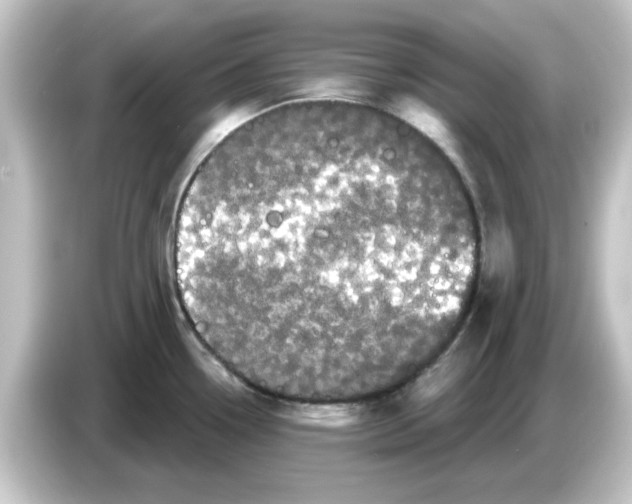 X0000084581338200703161734