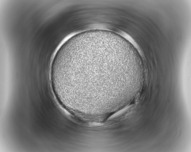 X0000084581339200703161734