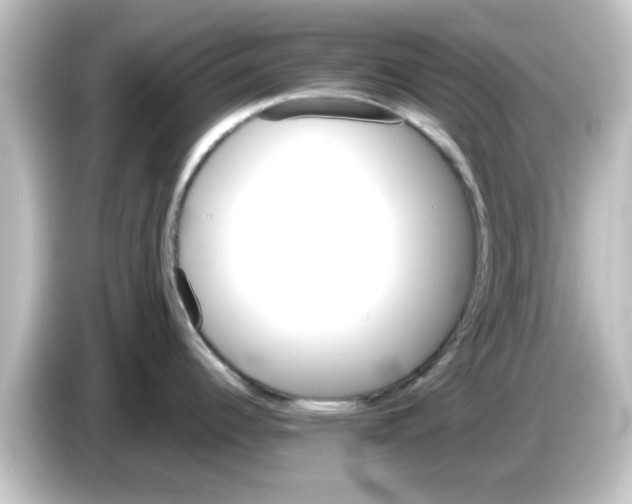 X0000084581344200703161734