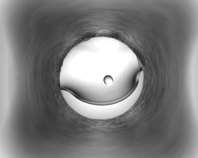 X0000084581345200703161733