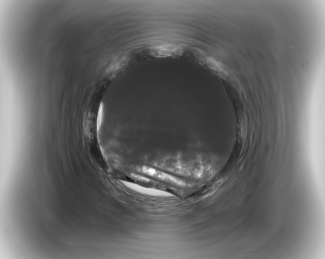 X0000084581346200703161733