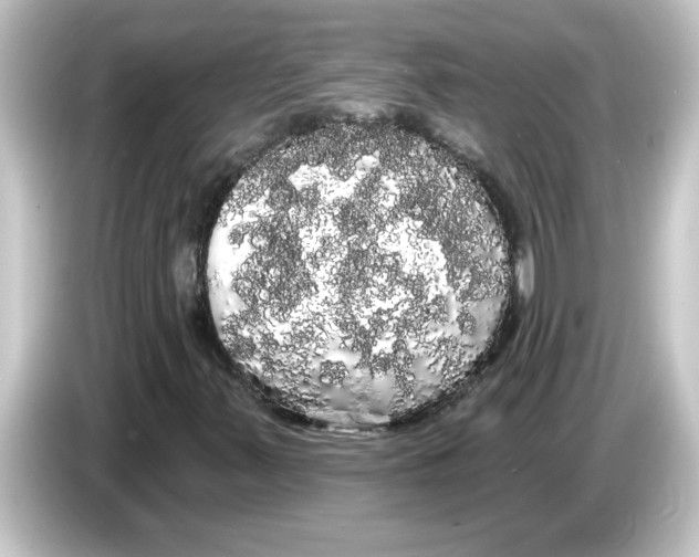 X0000084581347200703161733
