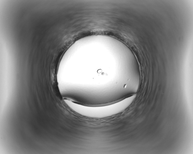 X0000084581348200703161733