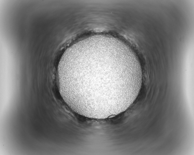 X0000084581349200703161733