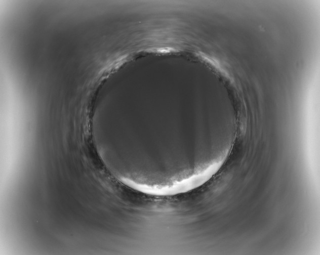 X0000084581350200703161733