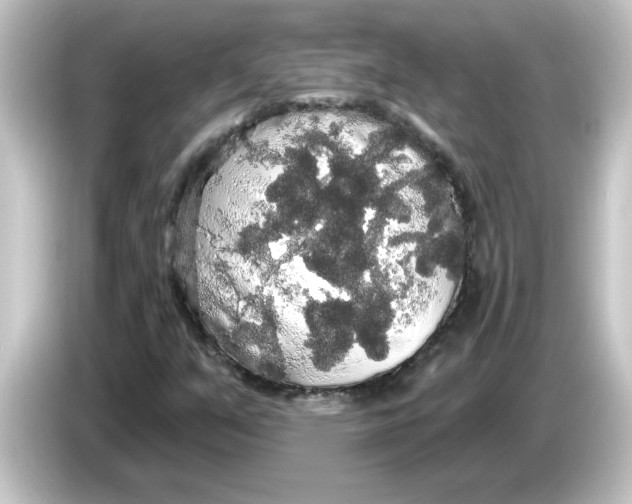 X0000084581351200703161733