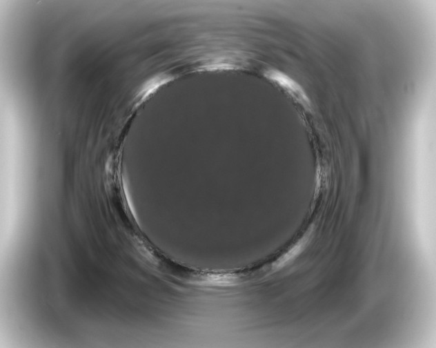X0000084581353200703161733