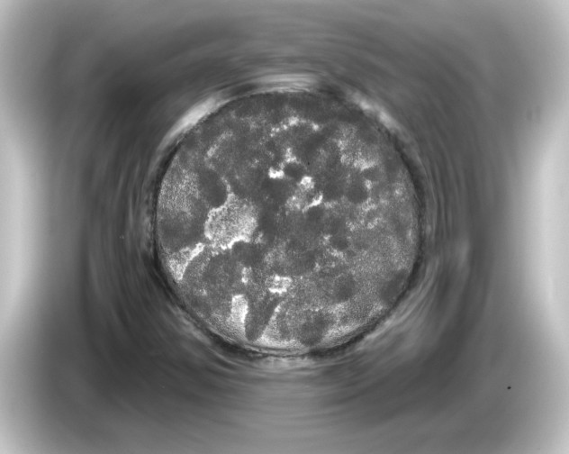 X0000084581354200703161733