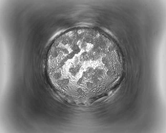 X0000084581355200703161733