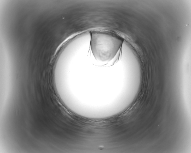 X0000084581356200703161733
