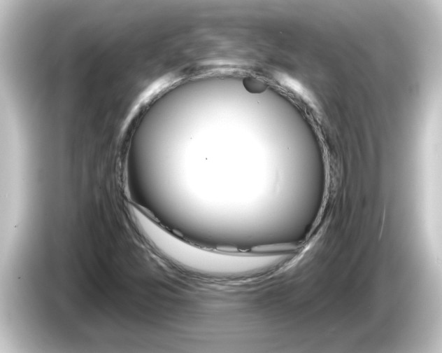 X0000084581357200703161733