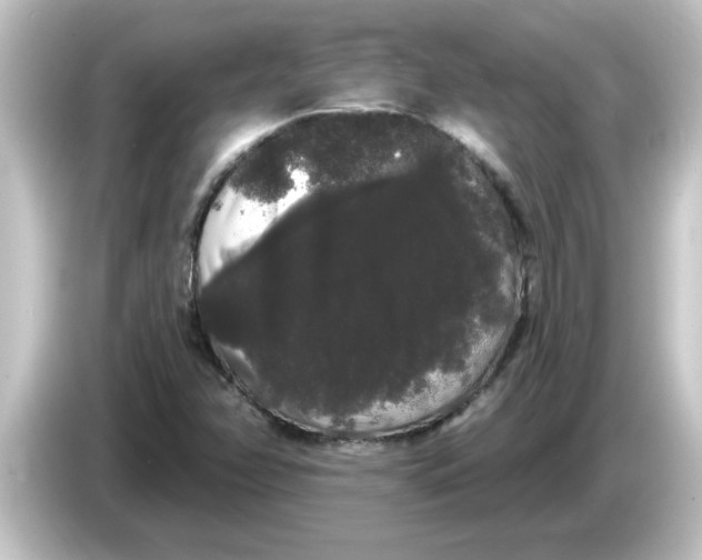 X0000084581358200703161733