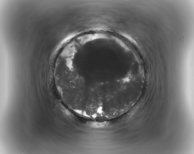 X0000084581359200703161733
