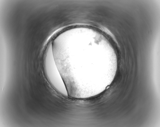 X0000084581360200703161733