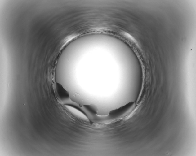 X0000084581361200703161733