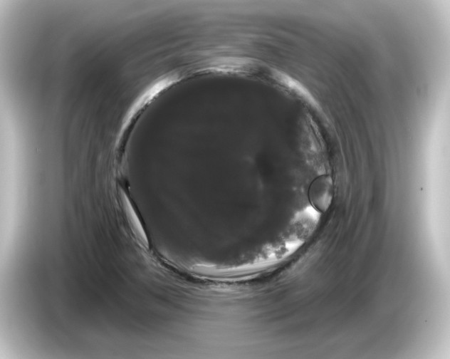 X0000084581362200703161733