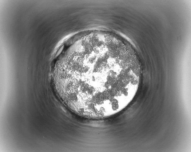X0000084581363200703161733