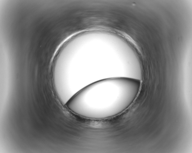 X0000084581364200703161733