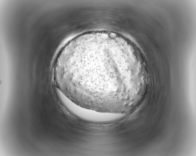 X0000084581366200703161733
