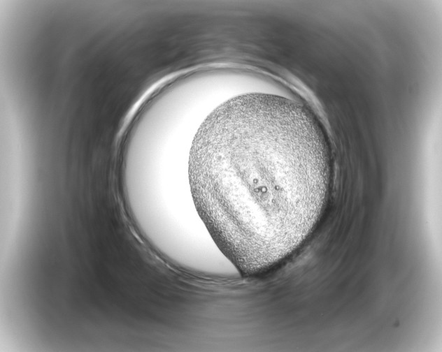 X0000084581368200703161733