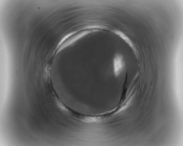X0000084581369200703161733