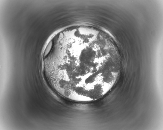 X0000084581371200703161733