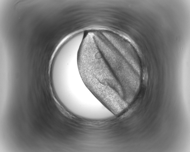 X0000084581372200703161733