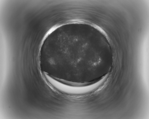 X0000084581373200703161733